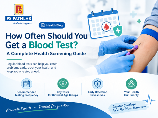 How Often Should You Get a Blood Test? A Complete Health Screening Guide